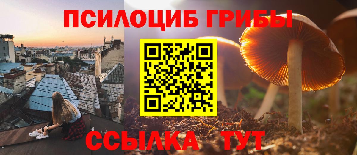 закладки  Вход с VPN  Псилоцибиновые грибы мицелий  Красноуфимск  Галлюциногенные грибы GOLDEN TEACHER 